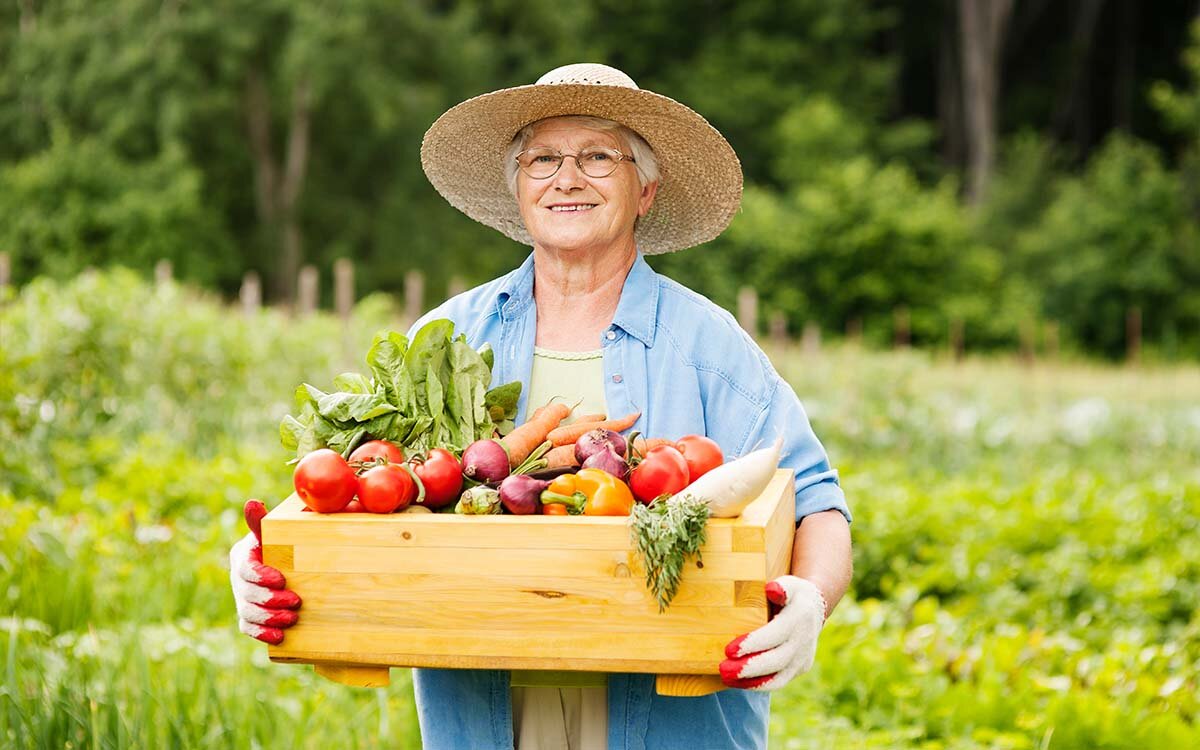 Você está visualizando atualmente Incluir pequeno produtor é base de sistema alimentar resiliente