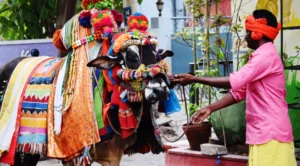 Leia mais sobre o artigo DEU RUIM: Índia tenta mudar o Dia dos Namorados em “Dia de Abraçar a Vaca”