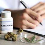 São Paulo terá medicamento à base de cannabis no SUS