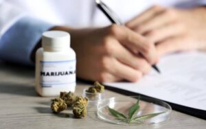 Leia mais sobre o artigo São Paulo terá medicamento à base de cannabis no SUS
