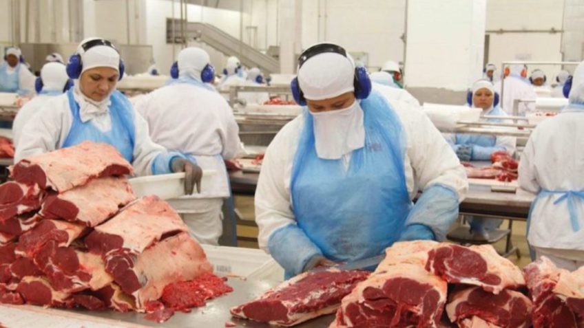 Você está visualizando atualmente China suspende embargo à carne bovina do Brasil, diz Fávaro