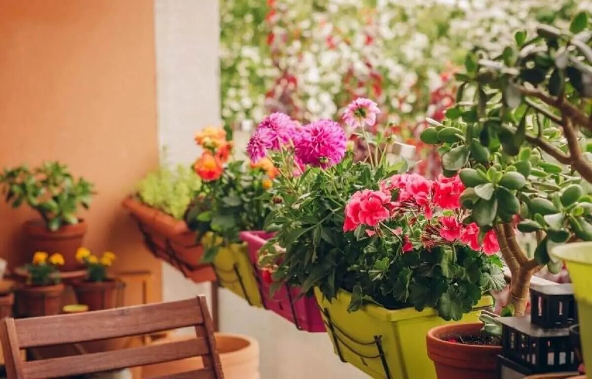 Você está visualizando atualmente Veja como fazer decoração com flores em varanda pequena