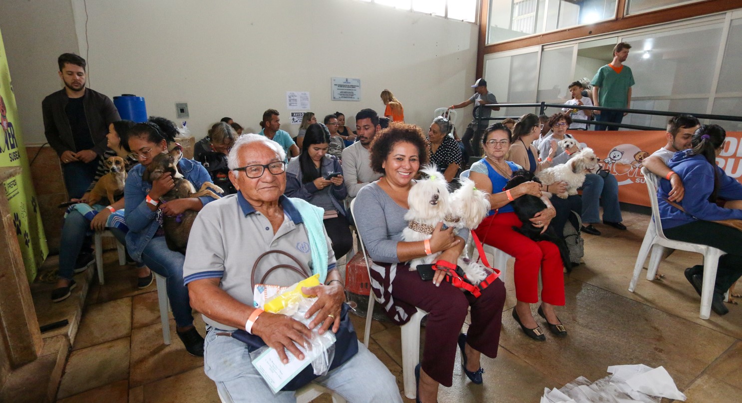 Você está visualizando atualmente Campo Grande realiza plantão de castração gratuita em cães e gatos