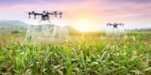 Leia mais sobre o artigo Como usar inteligência artificial na agricultura