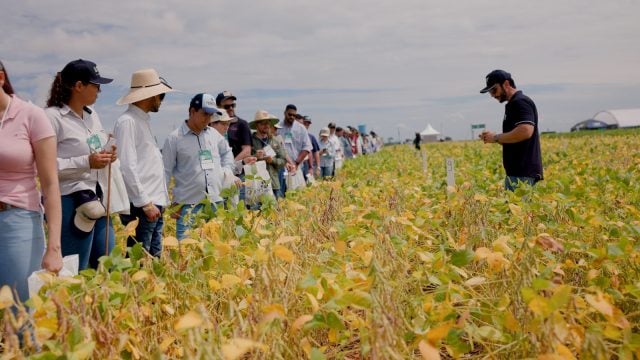 Você está visualizando atualmente Inscrições para o 1º Fórum Soja Baixo Carbono estão abertas