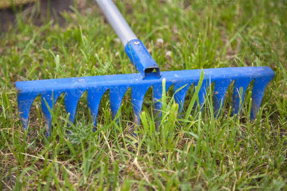9-formas-de-eliminar-ervas-daninhas-com-espinhos-da-grama