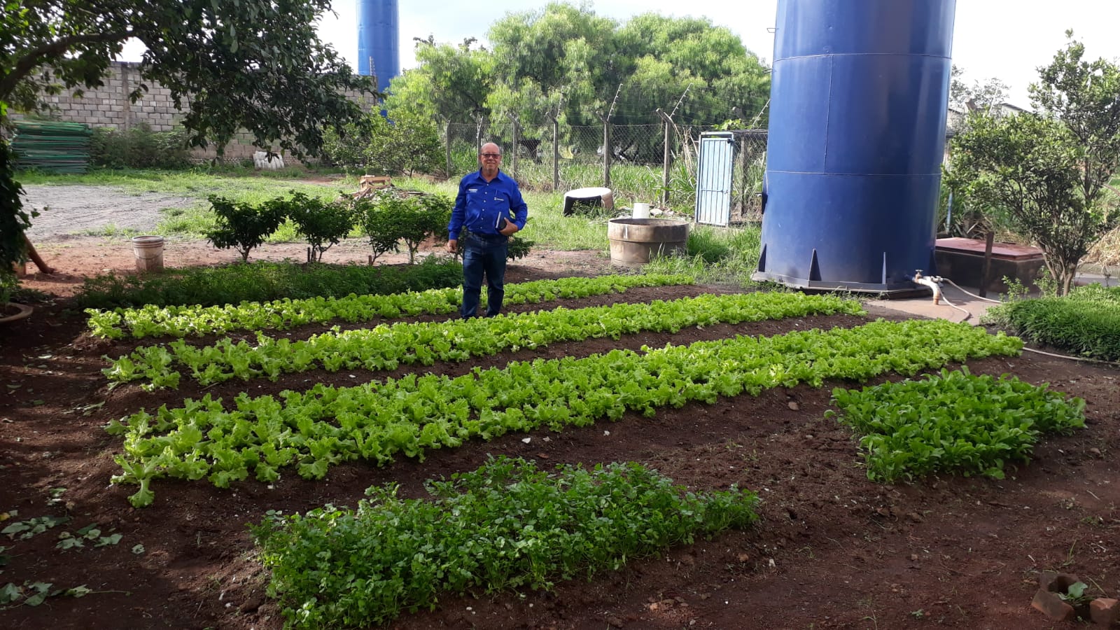 Você está visualizando atualmente Campo Grande lança projeto Adubando Oportunidades