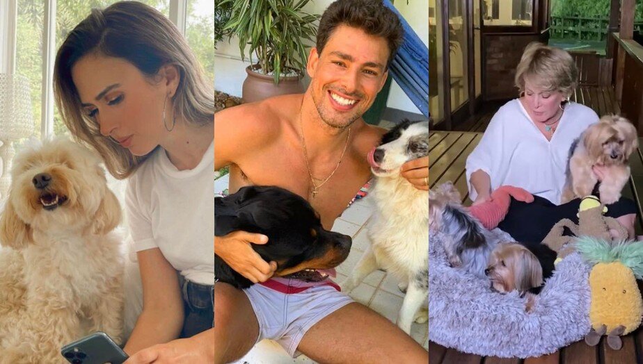 Você está visualizando atualmente Conheça os pets do elenco da nova novela Terra e Paixão