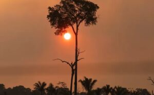 Leia mais sobre o artigo ONU: Mundo terá calor recorde até 2027 e Amazônia, menos chuva