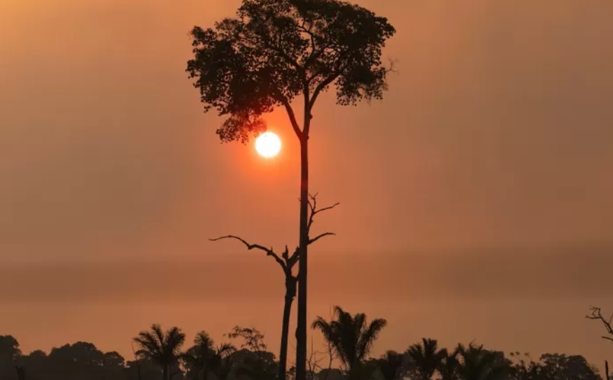 Você está visualizando atualmente ONU: Mundo terá calor recorde até 2027 e Amazônia, menos chuva