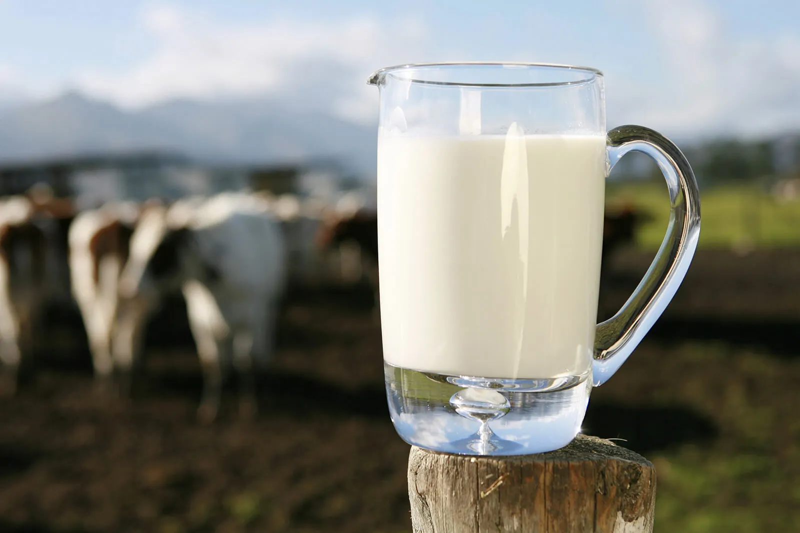 Você está visualizando atualmente Preço do leite cru sobe no primeiro trimestre de 2023