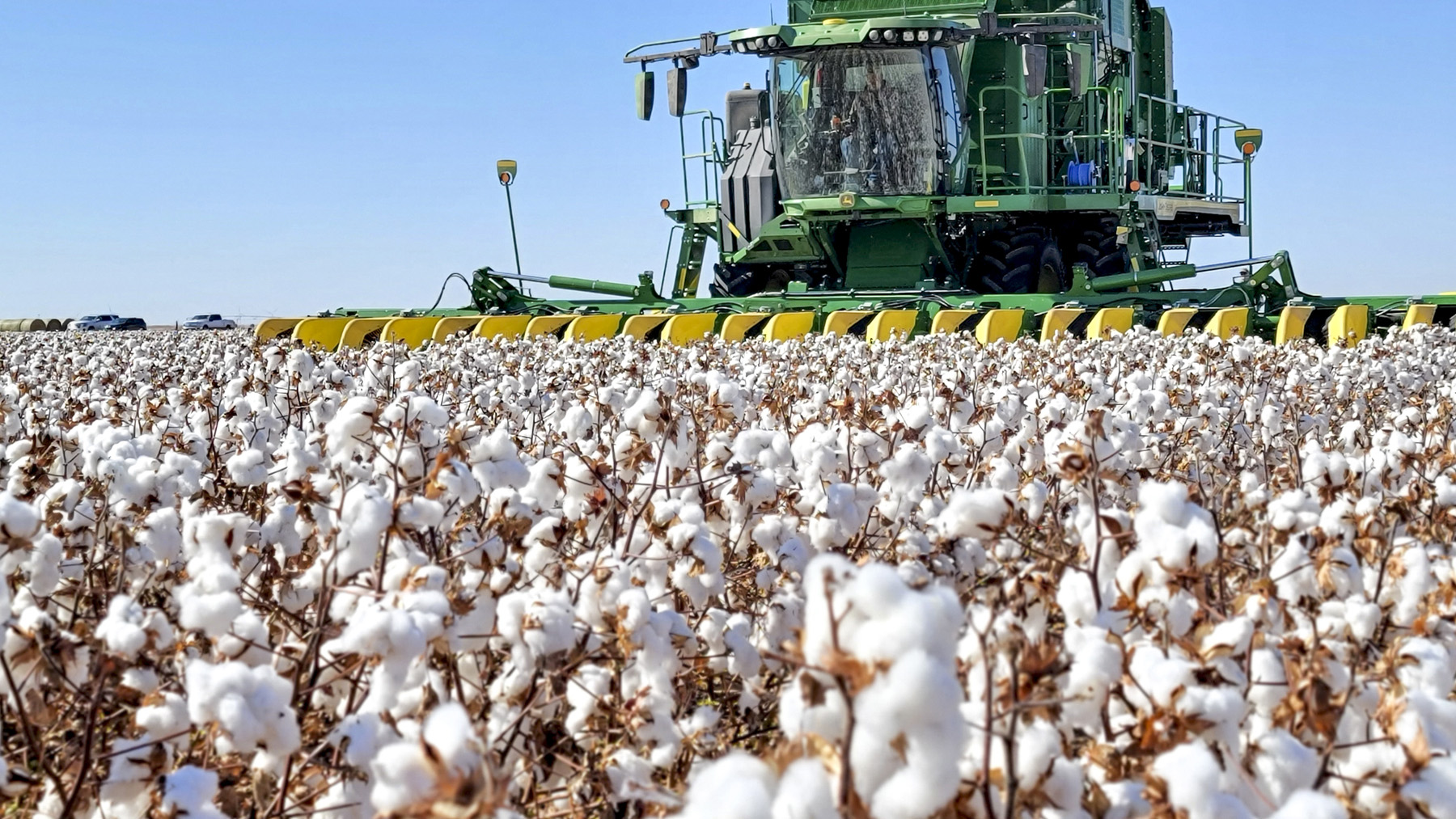 Você está visualizando atualmente Produção brasileira de algodão deve crescer 17,6% em 2023