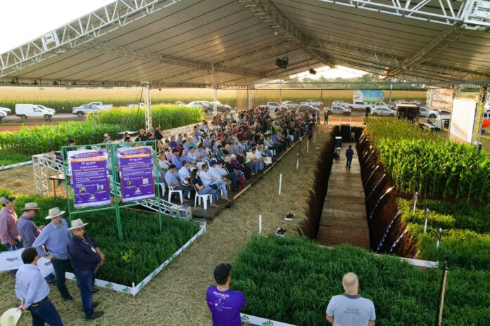 Você está visualizando atualmente AGRO: Trincheiras serão atrações técnicas do 26º Showtec de MS