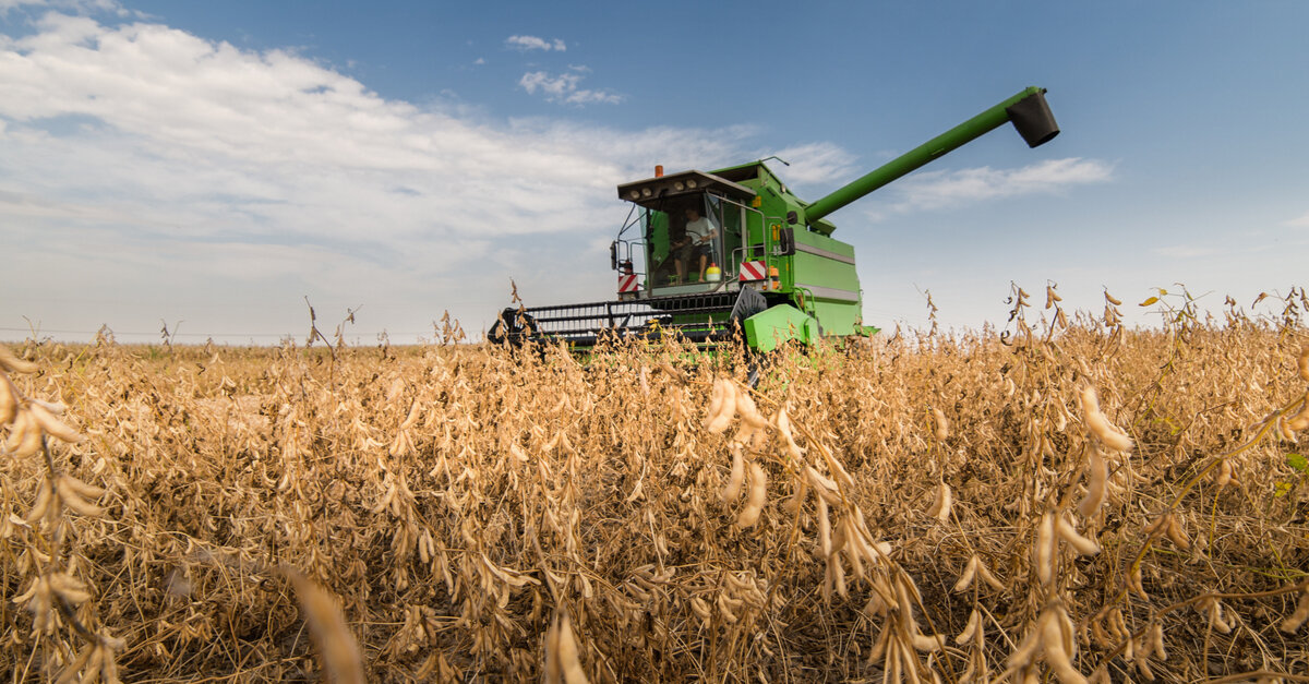 Você está visualizando atualmente AGRONEGÓCIO: Os 10 principais Estados produtores do Brasil