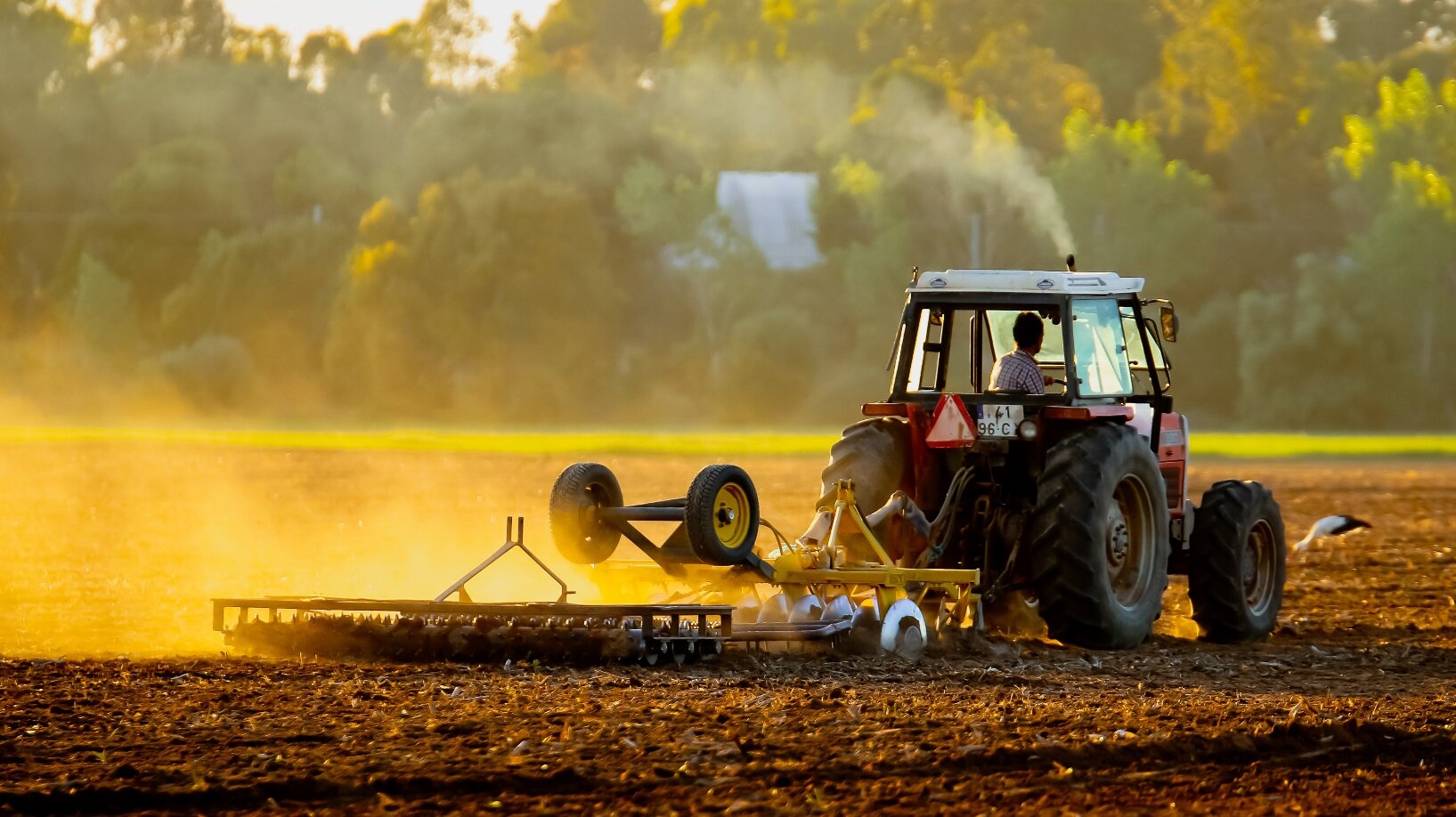 Você está visualizando atualmente Agropecuária tem crescimento e deve manter números fortes