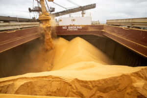 Leia mais sobre o artigo ANEC: Alta de mais de 30% na exportação de soja em junho