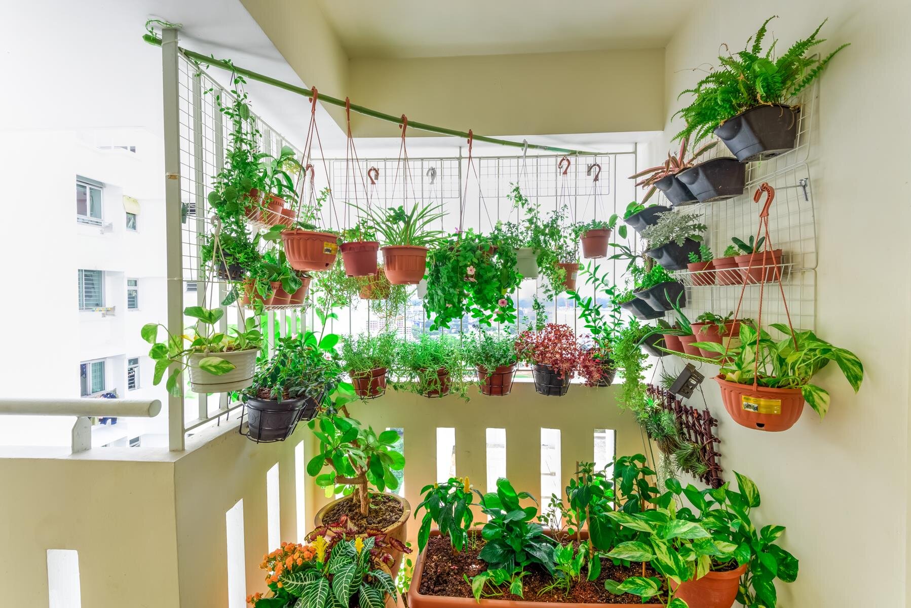 como-cultivar-ervas-e-hortalicas-na-varanda-ou-peitoril-da-janela