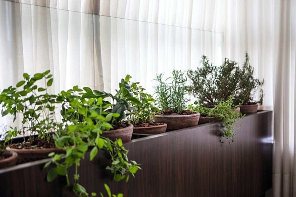 Você está visualizando atualmente Como cultivar ervas e hortaliças na varanda ou peitoril da janela