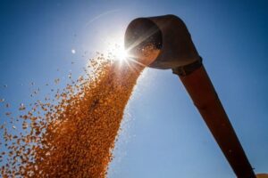Leia mais sobre o artigo Conab estima produção de grãos em 315,8 milhões de toneladas