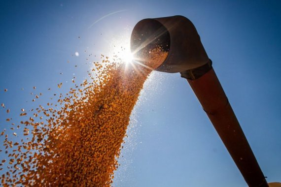 Você está visualizando atualmente Conab estima produção de grãos em 315,8 milhões de toneladas