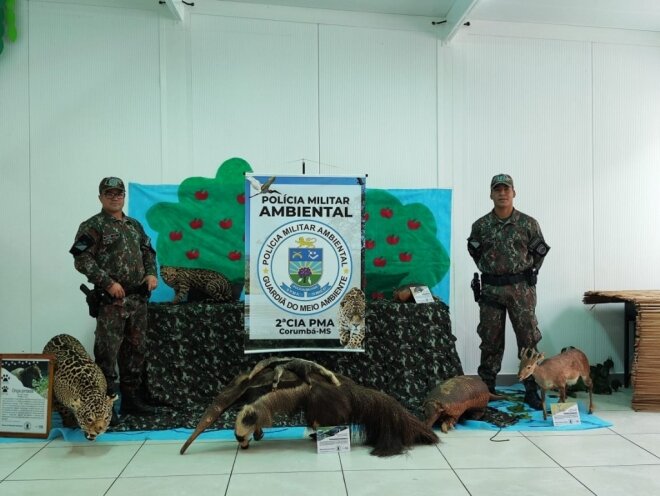 Você está visualizando atualmente Polícia Militar Ambiental terá ações na Semana do Meio Ambiente