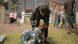 Leia mais sobre o artigo Prefeitura de Campo Grande leva cobertores para animais de rua