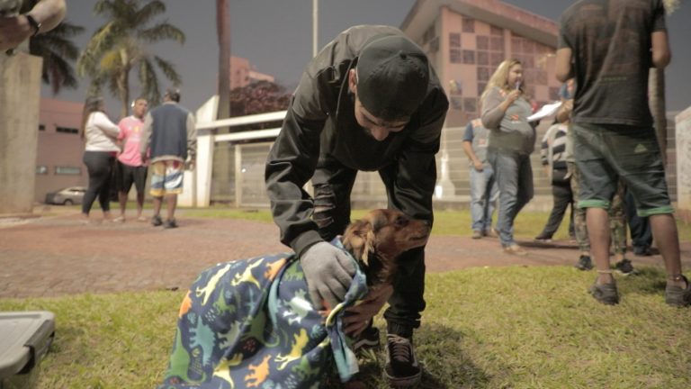 Você está visualizando atualmente Prefeitura de Campo Grande leva cobertores para animais de rua