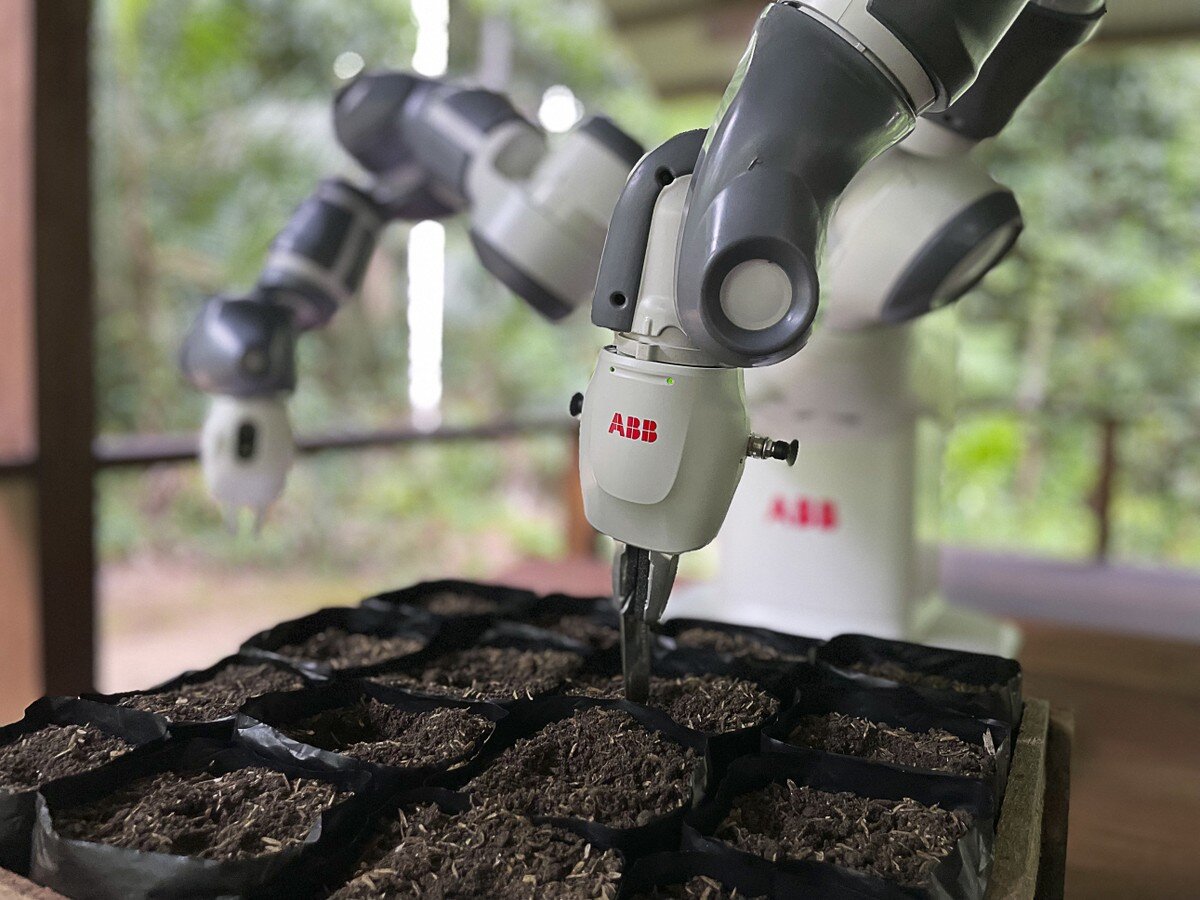Você está visualizando atualmente PERU: Robô ajuda no reflorestamento da Amazônia