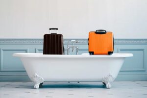 Leia mais sobre o artigo INVASORES: Ao entrar em um quarto de hotel, coloque as malas na banheira