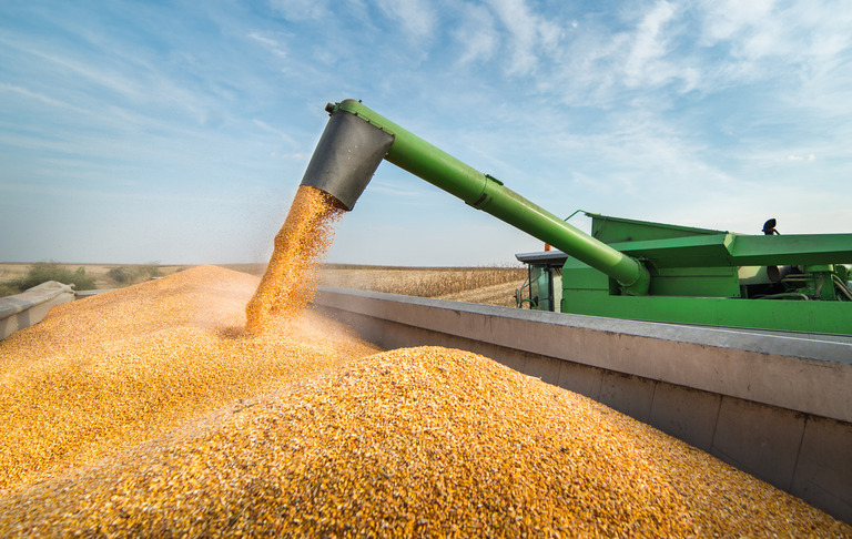 Você está visualizando atualmente Brasil deve produzir 390 milhões de toneladas de grãos em 10 anos