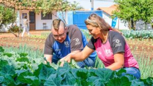 Leia mais sobre o artigo Cooperativa de agricultura urbana chega em Campo Grande