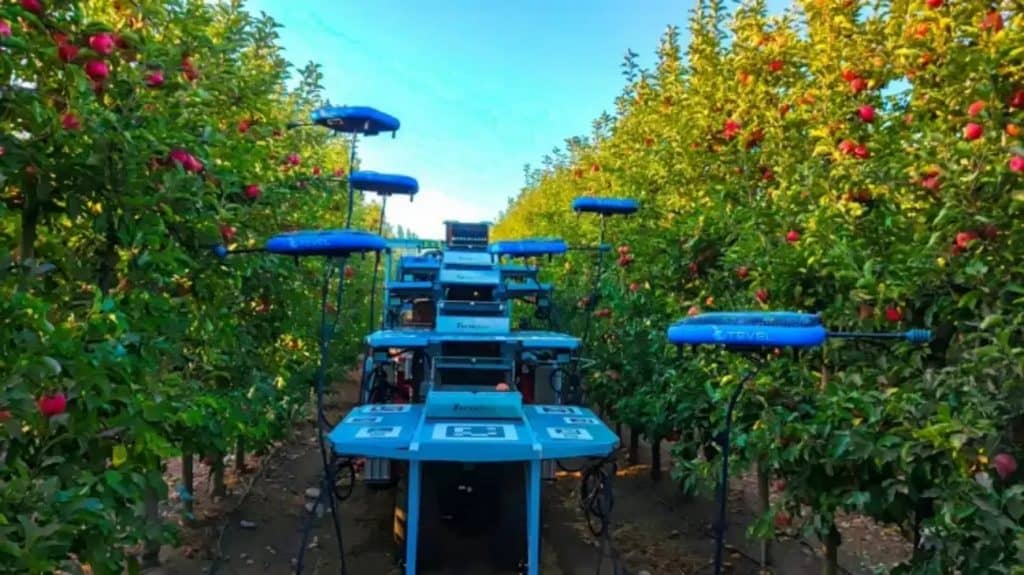 Você está visualizando atualmente Drones com IA substitui humanos na colheita de frutas