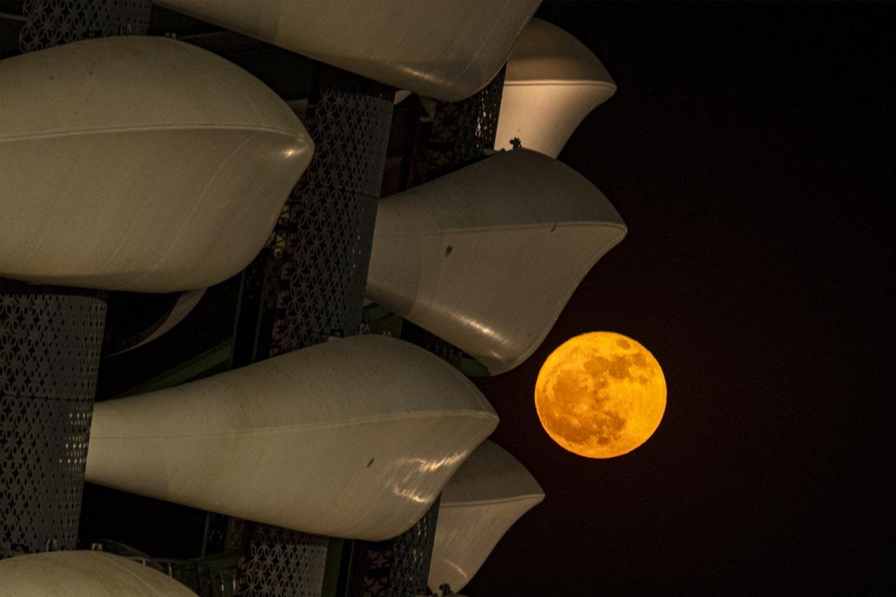 fenomeno-veja-imagens-superlua-dos-cervos-pelo-mundo