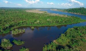 Leia mais sobre o artigo Municípios terão acesso aos R$ 3,9 bi do Fundo Amazônia