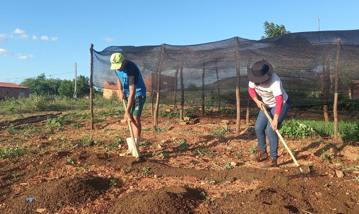 Você está visualizando atualmente Trabalhadores pedem redução de juros para produzir alimentos