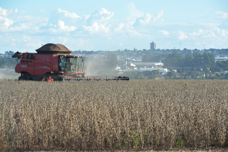 Você está visualizando atualmente Campo Grande é a capital com a maior produção agrícola do Brasil