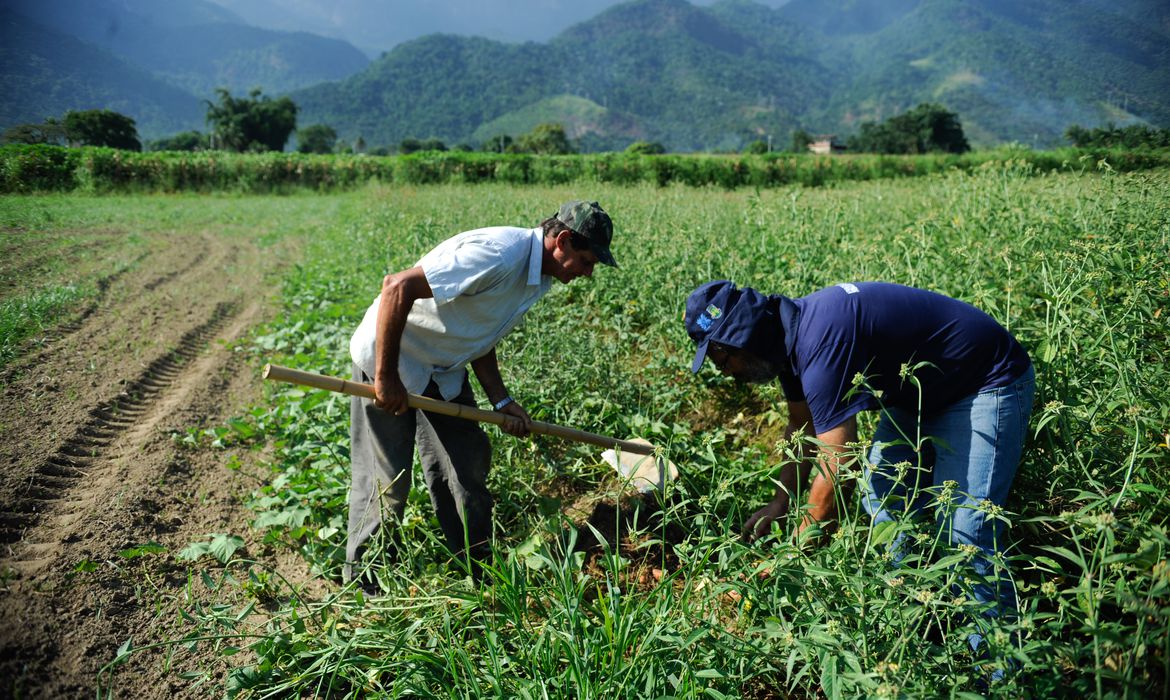 Você está visualizando atualmente CMN flexibiliza crédito a agricultores de áreas com riscos climáticos