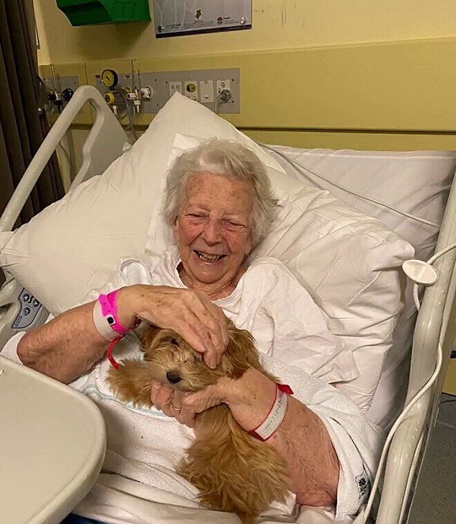 mulheres-levam-cachorro-dentro-de-bolsa-para-amiga-em-hospital