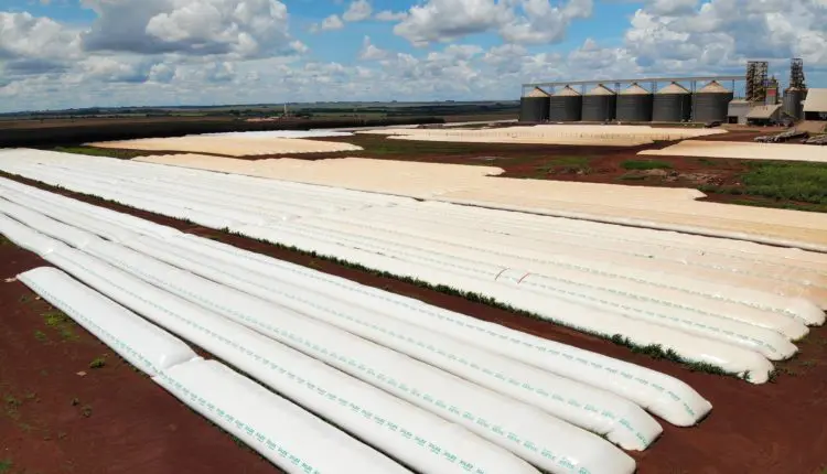 Você está visualizando atualmente Planejar a armazenagem da produção deve começar antes do plantio