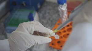 Leia mais sobre o artigo Vacinas brasileiras são finalista do Prêmio Euro Inovação na Saúde