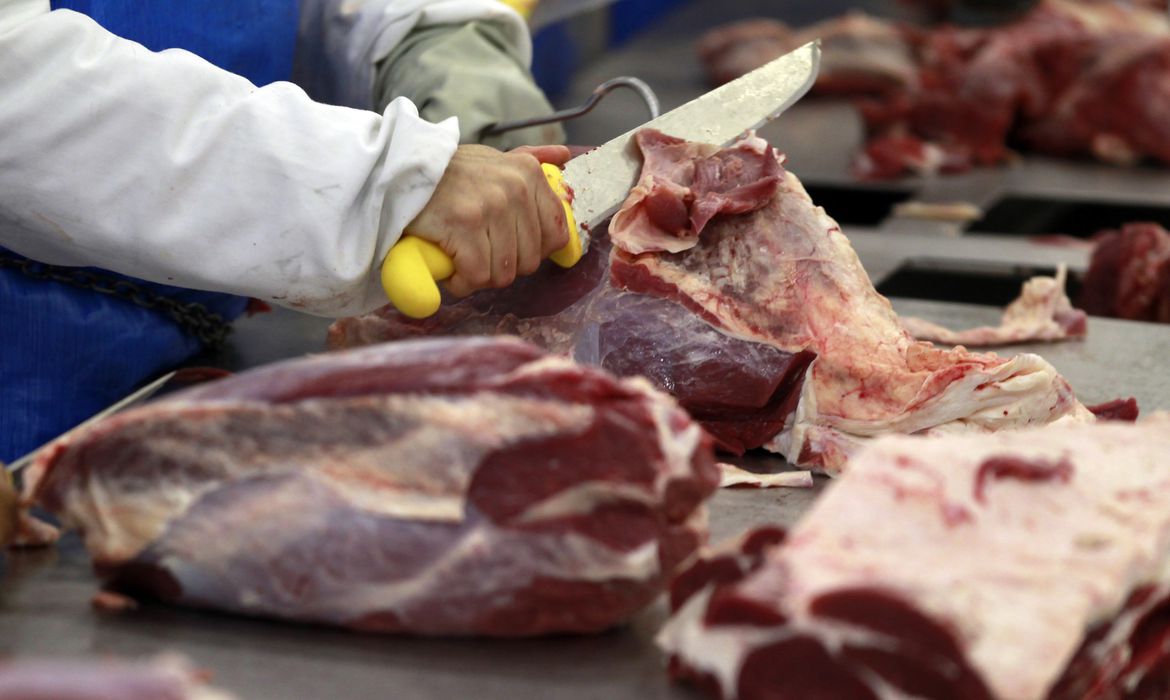 Você está visualizando atualmente Consumo de carne volta a crescer no Brasil com alívio da inflação