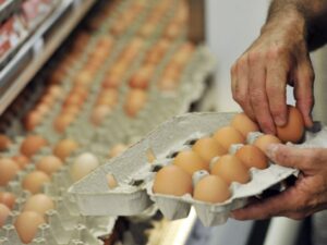 Leia mais sobre o artigo Entenda por que a onda de calor ajuda a baratear o preço dos ovos