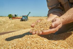 Leia mais sobre o artigo Argentina expandirá programa de incentivo às exportações da soja