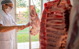 Leia mais sobre o artigo MS é o sexto maior produtor brasileiro de carne suína
