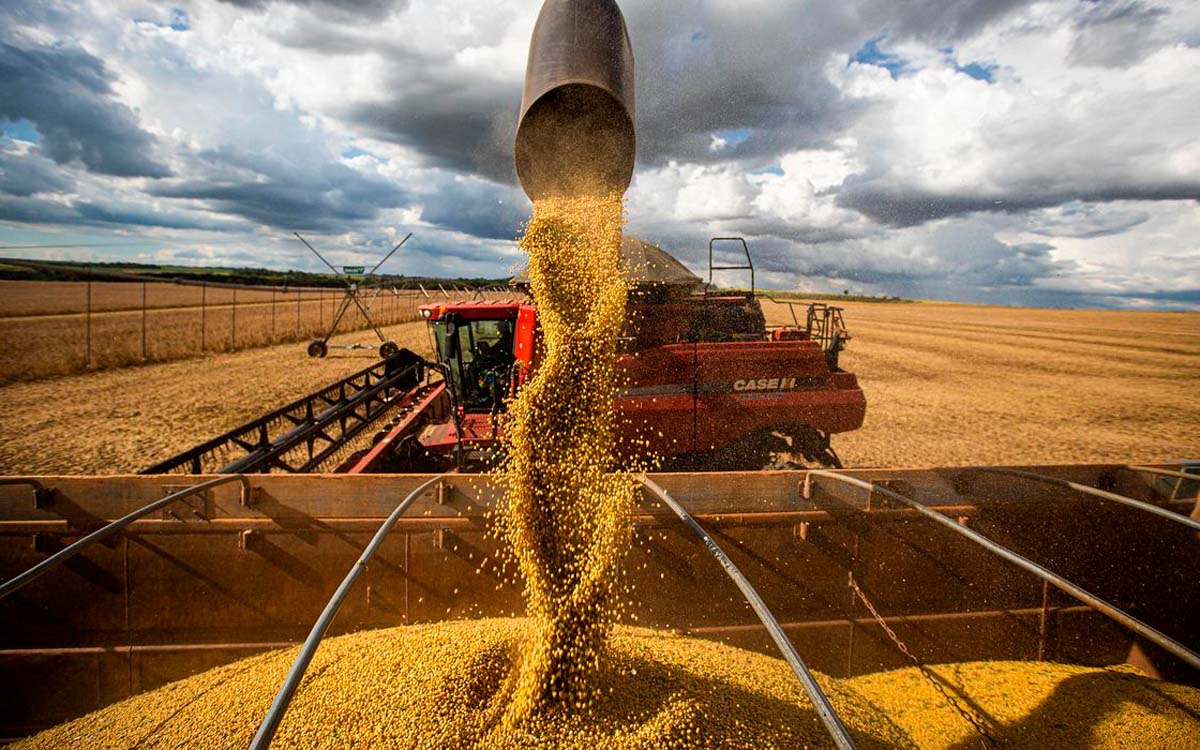 Você está visualizando atualmente PIB da soja e biodiesel avançará 20,7% em 2023 nos preços