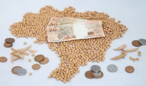 Leia mais sobre o artigo Soja em grãos tem mudanças no preços com guerra em Israel