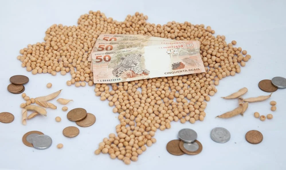 Você está visualizando atualmente Soja em grãos tem mudanças no preços com guerra em Israel