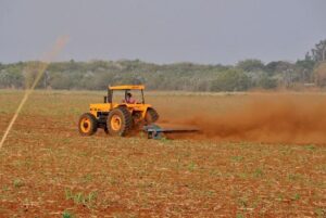 Leia mais sobre o artigo O estado de MS precisou replantar 41,2 mil hectares de soja