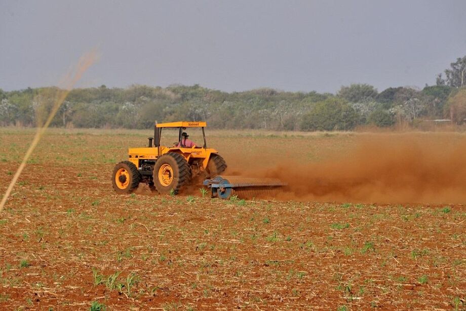 Você está visualizando atualmente O estado de MS precisou replantar 41,2 mil hectares de soja