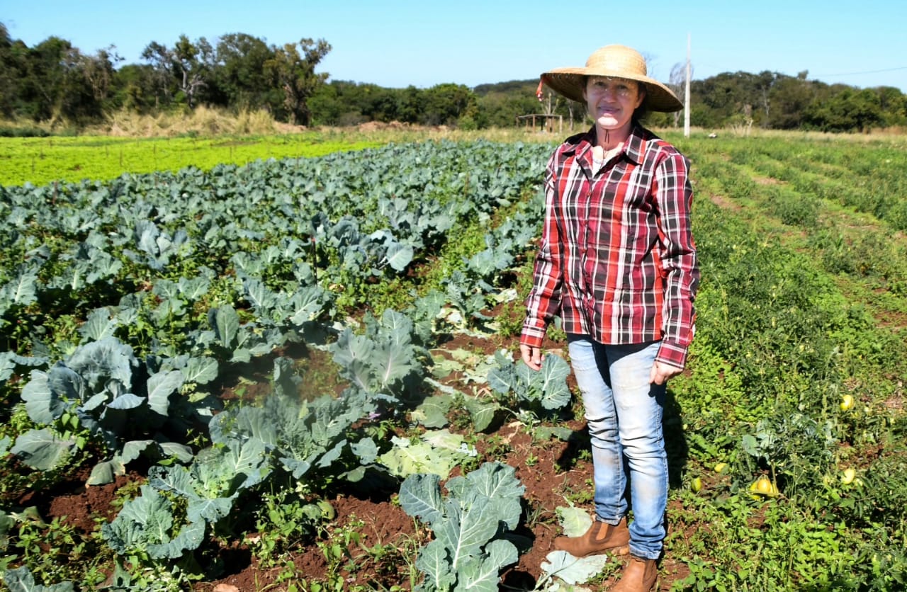 Você está visualizando atualmente Campo Grande institui Programa “Agro Forte e Sustentável”